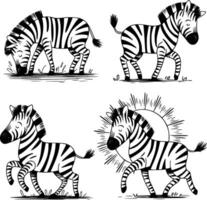 Four zebras in different poses vector