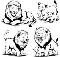 Lion family set and isolated background vector