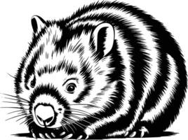 A black and white drawing of a wombat and isolated background vector
