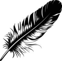 Feather clip art and isolated background vector