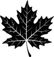 Maple leaf clip art and isolated background vector