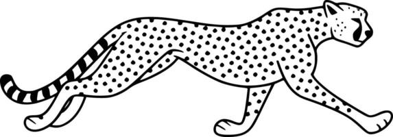 Black and white bold illustration of a lion, isolated on white background. vector