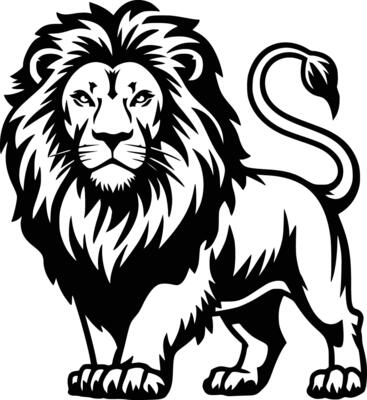 Lion standing on a white background and isolated background