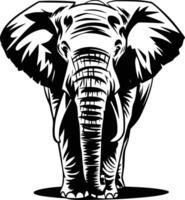 An elephant is standing in front of a white background vector
