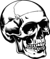 A skull with a bandana on it and isolated background vector