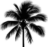 Palm tree silhouette and isolated background vector