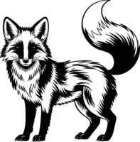 A black and white drawing of a fox and isolated background vector