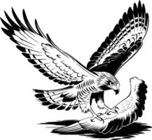 An eagle flying over a bird in flight vector