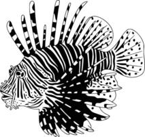 Black and white bold illustration of a roaring lion head, isolated on white background. vector
