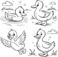 Four ducklings coloring pages vector