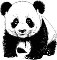 Panda bear coloring pages and isolated background vector