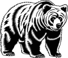 black and white bear on a white background vector