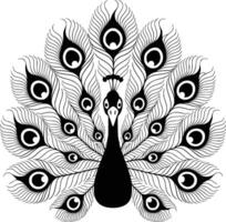 A peacock with feathers on a white background vector