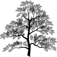 A tree with leaves and branches in black and white vector