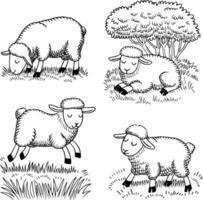 Four sheep in the grass vector