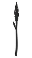 Asparagus Silhouette Isolated On White Background vector