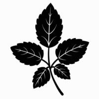 Black And White Leaf Illustration vector