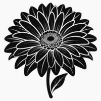 Black And White Gerbera Daisy vector