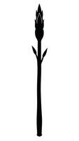 Black Silhouette Of Asparagus Spear vector