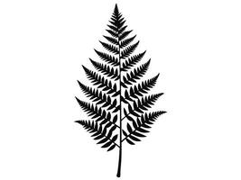 Silhouette of a Single Fern vector