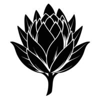 Protea Flower In Monochrome Art vector