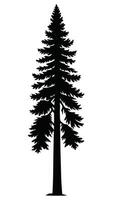 Silhouette Of Coniferous Pine Tree vector