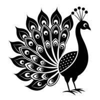 Elegant black and white peacock illustration vector