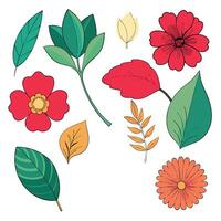 A set of colorful flowers and leaves floral elements vector