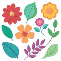 Various flowers and leaves on a white background vector