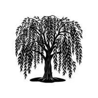Tree silhouette icon.tree icon.tree silhouette Adobe Illustrator Artwork vector