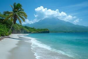 Tropical Paradise Beach with Palm Trees and Volcanic Mountain View photo