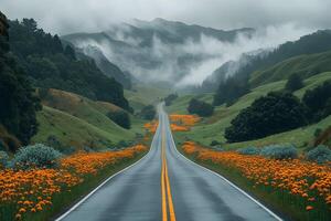 Scenic Misty Road Through Rolling Hills and Vibrant Wildflowers photo