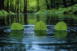 Tranquil Forest Pond with Floating Leaves and Soothing Ripples for Nature Relaxation photo