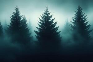 Misty Evergreen Forest at Dawn for Nature Photography and Posters photo