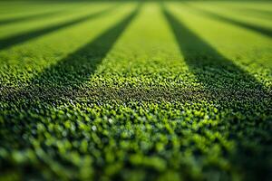 Sunny Day on Lush Green Field with Playful Shadows for Nature and Sports Concepts photo