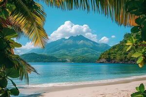 Tropical Beach Paradise with Mountain View and Lush Palm Fronds photo