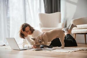 Wooden floor. With laptop. Young woman is with her pug, dog, at, home photo