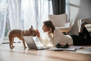 Cute pug ,,is, looking at his owner. Young ,woman with laptop at home photo