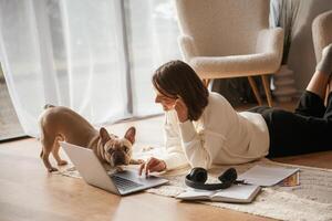 Animal is, curious about laptop. Young woman is with her pug dog at home photo