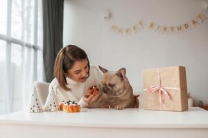 Hats, gift box and little cake for animal who have birthday party. Young woman is with her pug dog at home photo