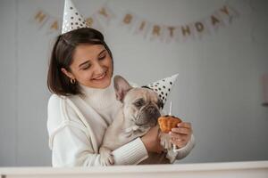 Birthday, of the pet. In festive hats and with cake. Young woman is with her pug dog at home photo