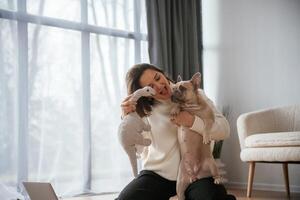 Conception of, love, and care. Young woman is with her pug dog at home photo