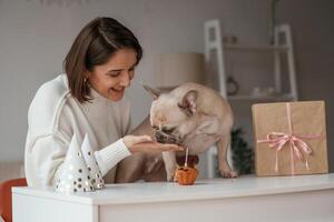 Giving treats to pug ,who ,have birthday. Young woman is with dog at home photo
