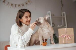 Giving, treats to ,pug who have birthday. Young woman is with dog at home photo
