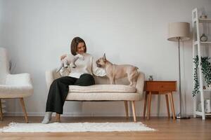 Front view, sitting on, the little sofa. Young woman is with her pug dog at home photo