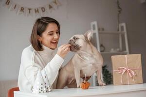 Giving, treats to pug who have birthday. Young woman is with dog at home photo