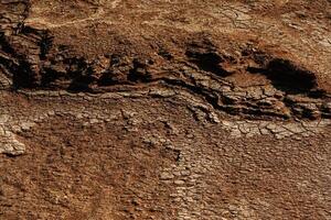 Dry ,ground, sand in the Africa. Close up view photo
