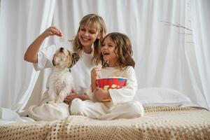 Feeding ,popcorn do a dog. Mother with daughter are at home together photo