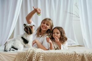 Playing, with, little, dog. Cucumbers beauty procedure conception. Mother with daughter are at home photo
