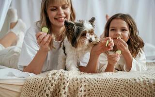 Playing, with,, little dog. Cucumbers beauty procedure conception. Mother with daughter are at home photo